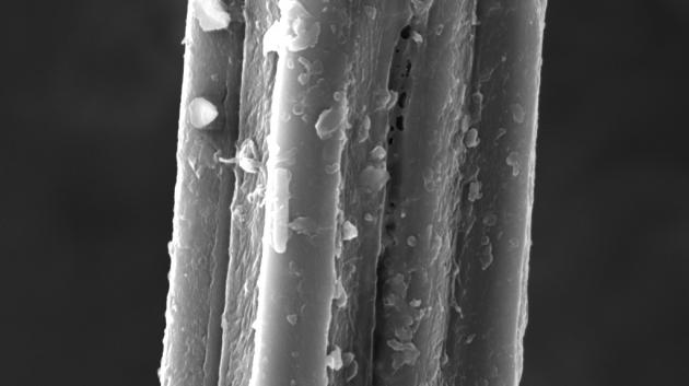 Mikroskopický snímek juty. (zdroj: TAČR)