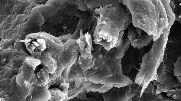 Mikroskopický snímek celulózy. (zdroj: TAČR)