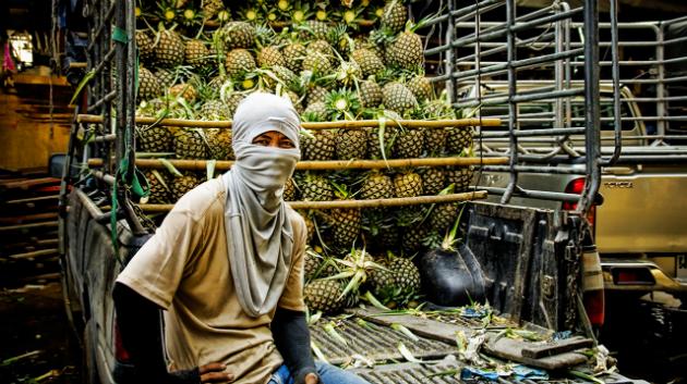 Ananasová textilie přinese alternativu kůže i výdělek 