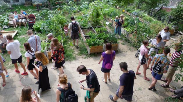 Liberecká komunitní zahrada oživila střed města