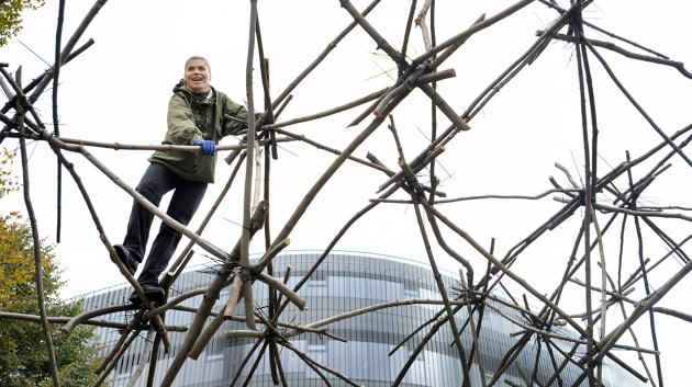 Martin Rajniš’s Dome of Chaos built from branches and zip ties