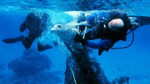 Oblečení z materiálu špičkové kvality jako cesta k čistějším oceánům