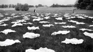 Environmentalismus a umění aneb jak umělkyně a umělci reflektují životní prostředí a klimatickou krizi?