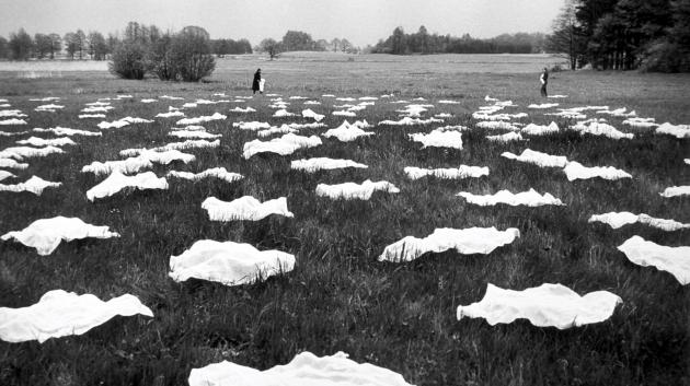 Environmentalismus a umění aneb jak umělkyně a umělci reflektují životní prostředí a klimatickou krizi?