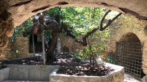 UNDERGROUND GARDENS AS A COOL HAVEN