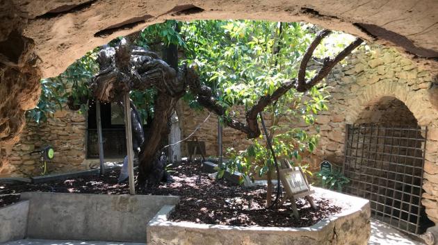 UNDERGROUND GARDENS AS A COOL HAVEN