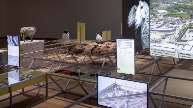 Logika pastevectví v Muzeu Stedelijk: Když není jasné, kdo svedl koho