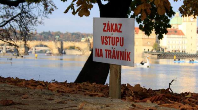 Na opravném Střeláku můžeme slyšet i trávu v míru růst. (foto: Tereza Simandlová)