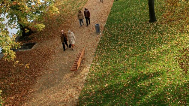 Bezpohlavní cesty zasypané organickými zbytky a lidé (foto: Tereza Simandlová)
